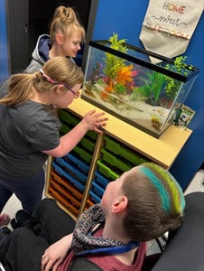 Students learn about the frog life cycle at Grayside.