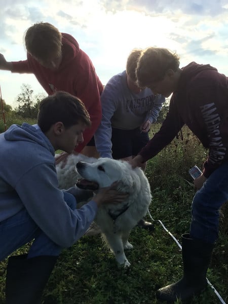 Students pet a dog.