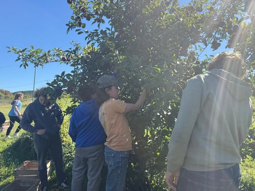 Students pick apples at an orchard.