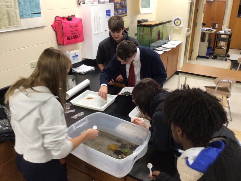 AP Biology students work around a black lab table in a classroom.