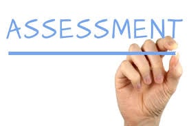 Assessment